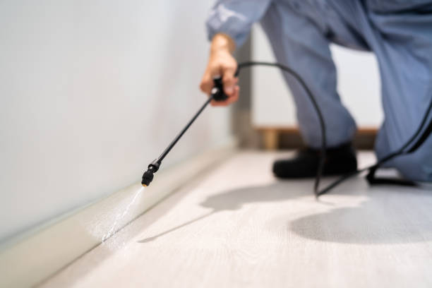 Licensed Pest Control service in Marlton, MD - Show Me Pest Control