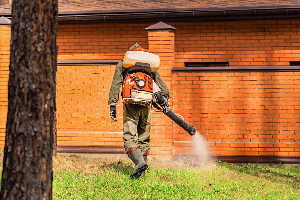 Bed Bug Clearance Verification and Documentation in Marlton